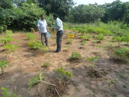 PRAVA SELF DEVELOPMENT