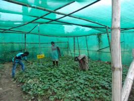 FIELD SUPPORTING TEAM